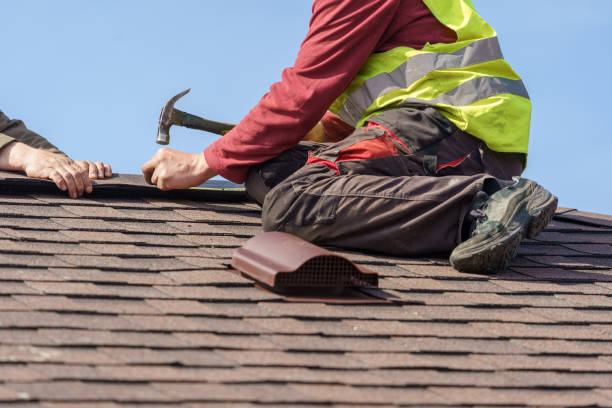 Best Commercial Roof Installation  in Lena, IL