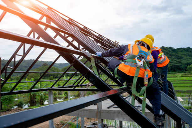 Best Flat Roof Repair Services  in Lena, IL