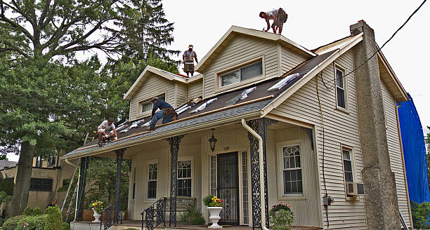 Trusted Lena, IL Roofing Contractor Experts